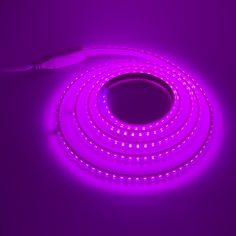 CELESTA LED ROPE LIGHT 120L 45M