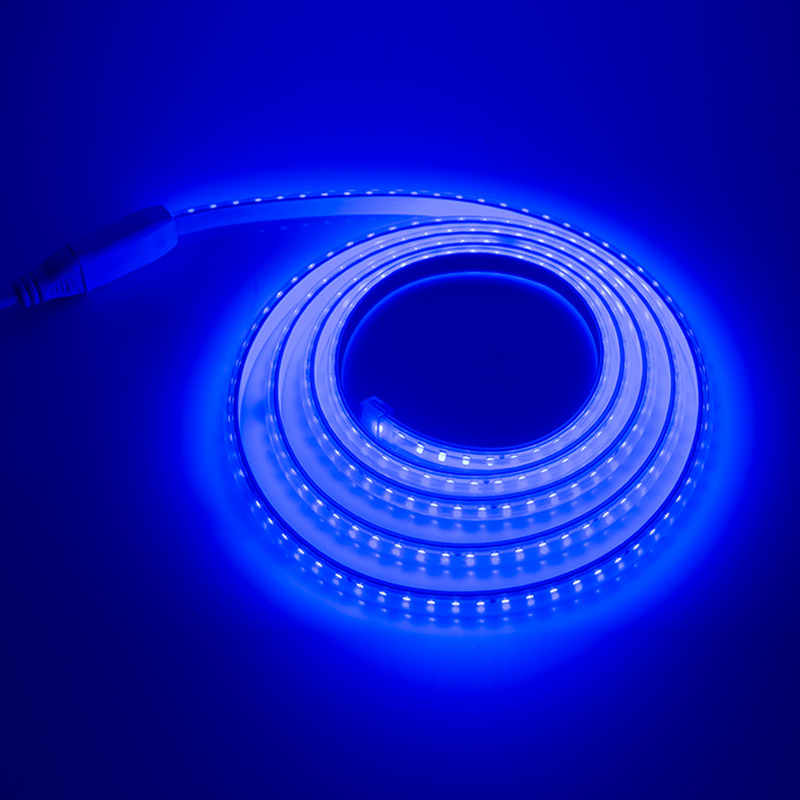 CELESTA LED ROPE LIGHT 120L 45M