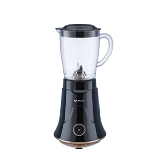 Bajaj NX 01 300W Mixer Grinder
