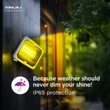 BAJAJ ROBUSTA LED FLOOD LIGHT