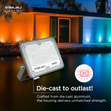 BAJAJ ROBUSTA LED FLOOD LIGHT