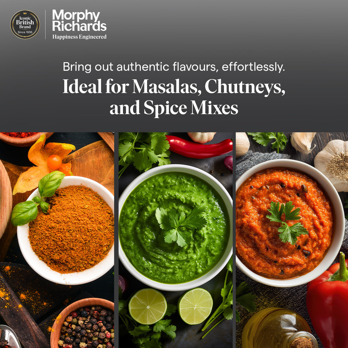 Morphy Richards Tresta Duo 500W Mixer Grinder