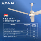 Raftaar 1200mm BLDC Ceiling Fan