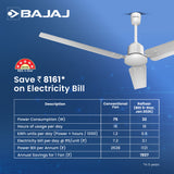 Raftaar 1200mm BLDC Ceiling Fan